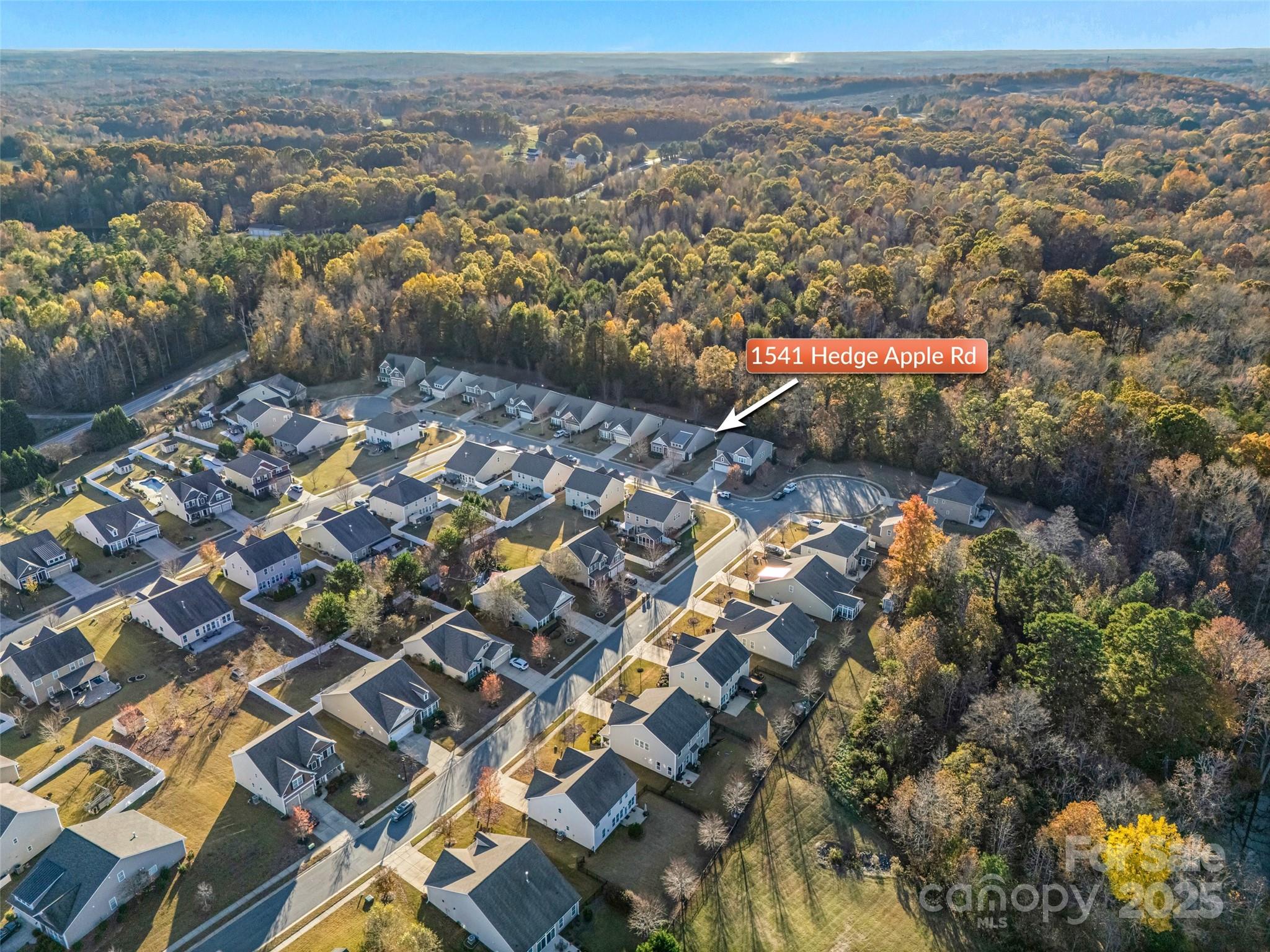 1541 Hedge Apple Road Clover, SC 29710 - Photo 41 of 48 an aerial view of multiple house