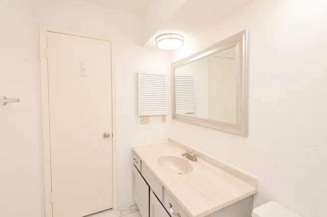 a bathroom with a sink vanity and a mirror