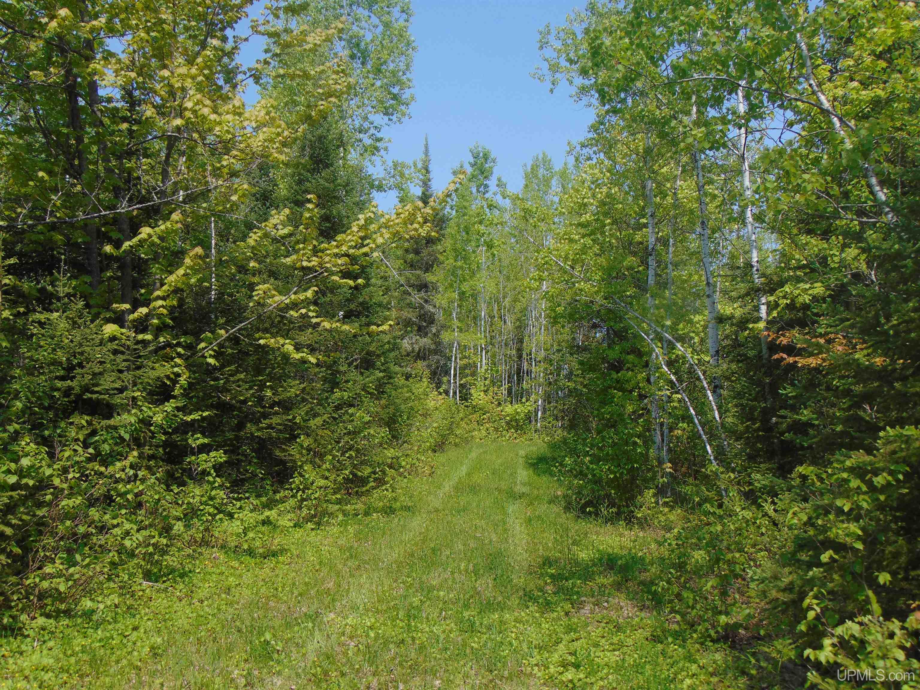 1 Larson Road Bruce Crossing, MI 49912 - Photo 29 of 34