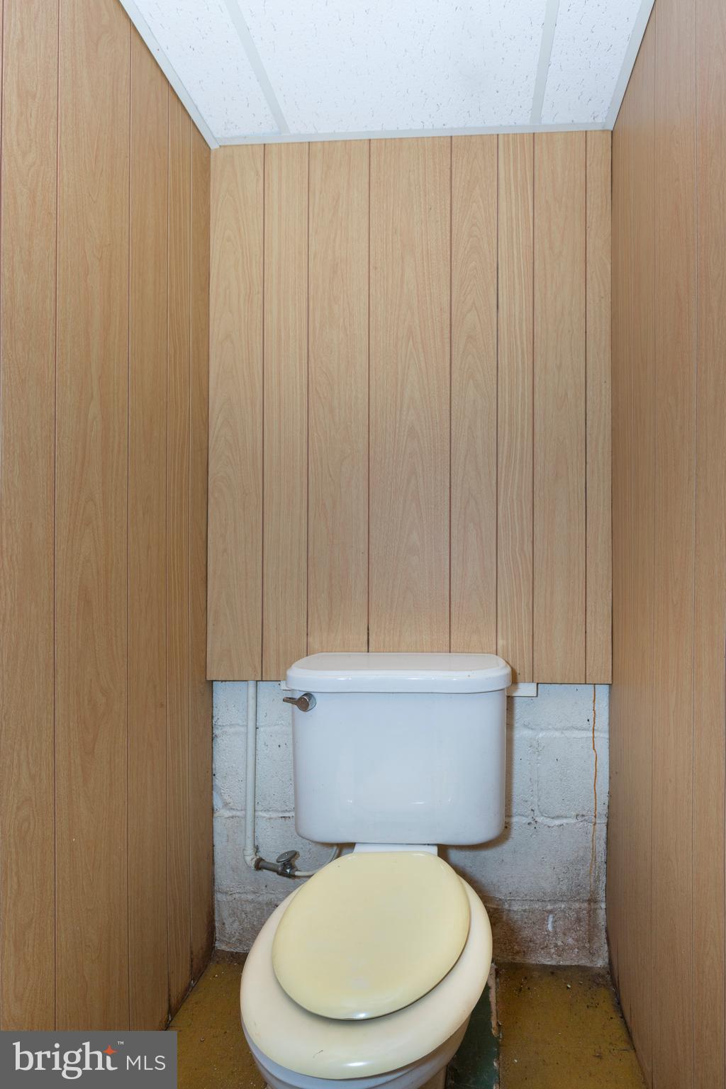 16617 Frederick Road Mount Airy, MD 21771 - Photo 45 of 68 Basement toilet