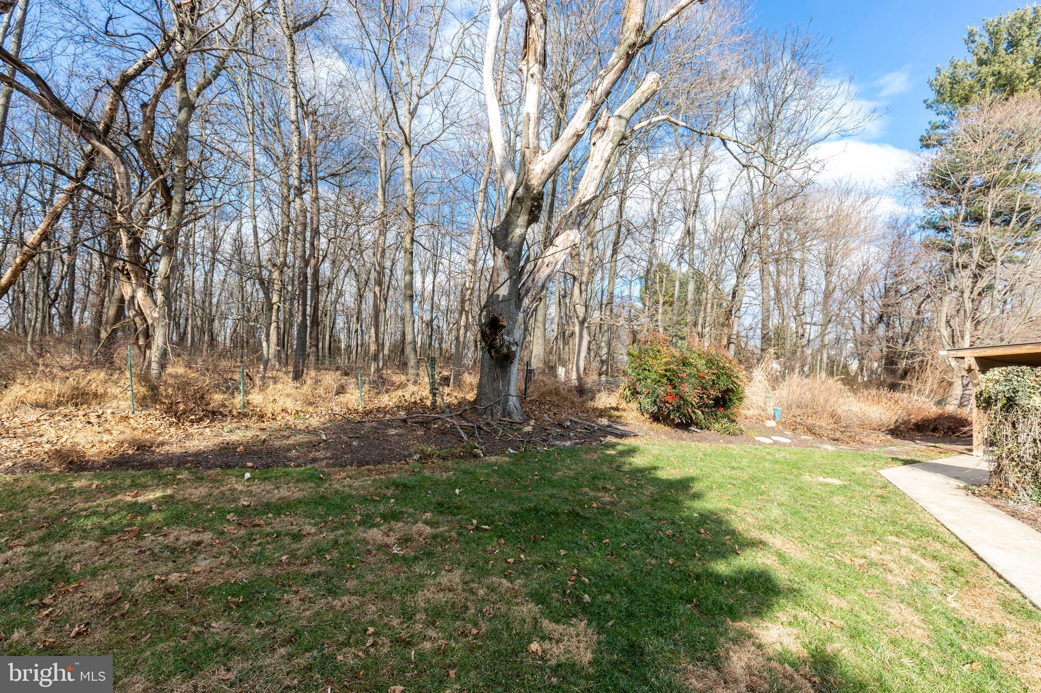 16617 Frederick Road Mount Airy, MD 21771 - Photo 53 of 68 Behind garage