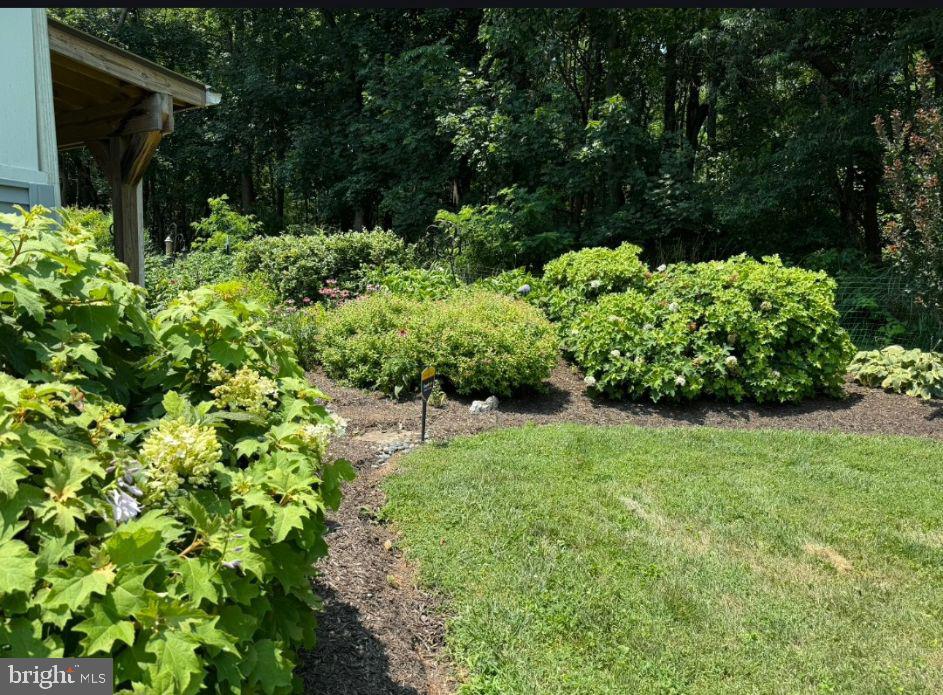 16617 Frederick Road Mount Airy, MD 21771 - Photo 66 of 68 Rear / side yard in the spring