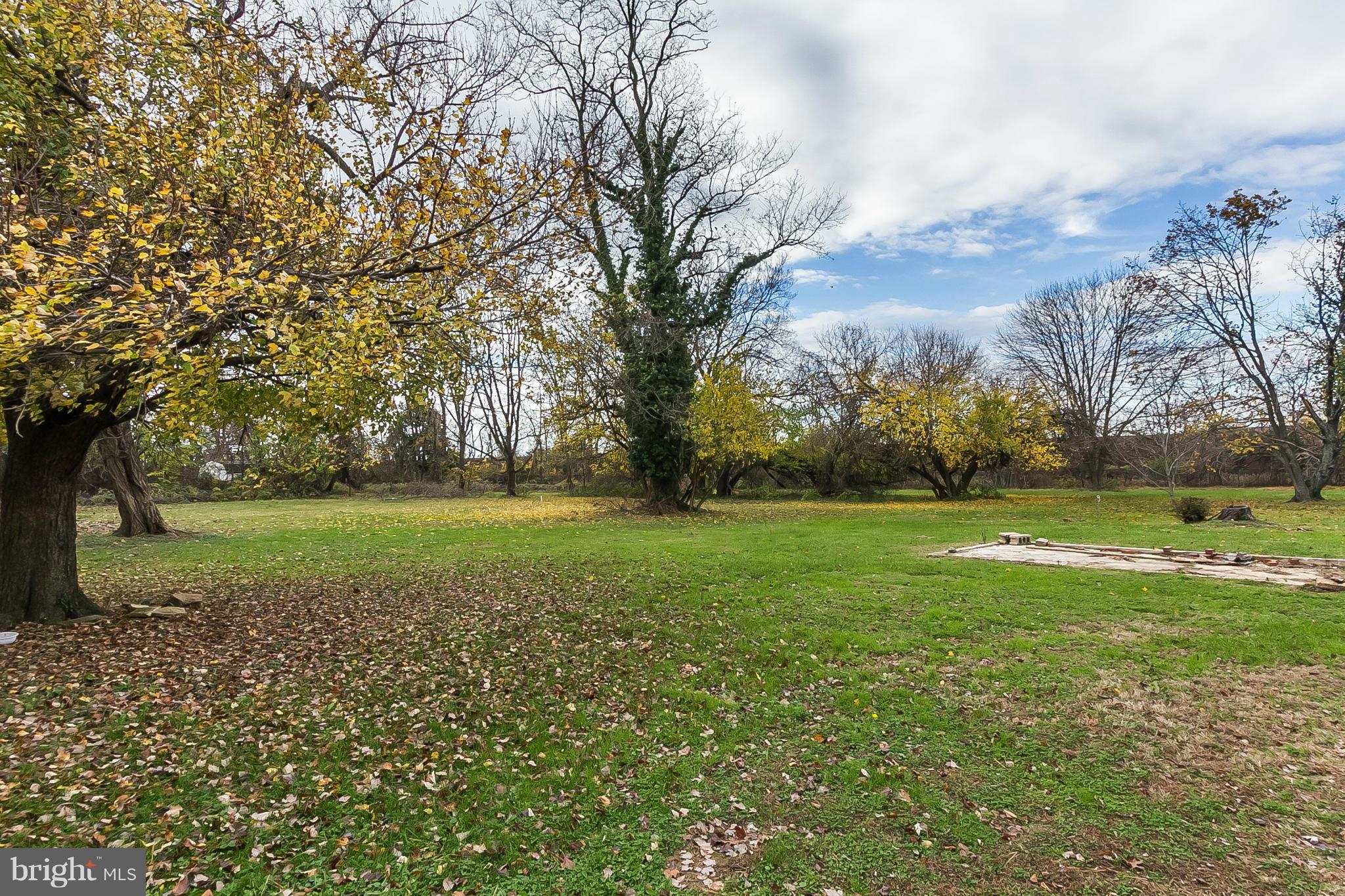 7007 Windsor Mill Road Baltimore, MD 21207 - Photo 27 of 27 Beautiful Rear Yard