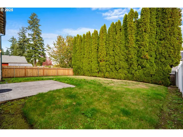 a view of a yard with an tree