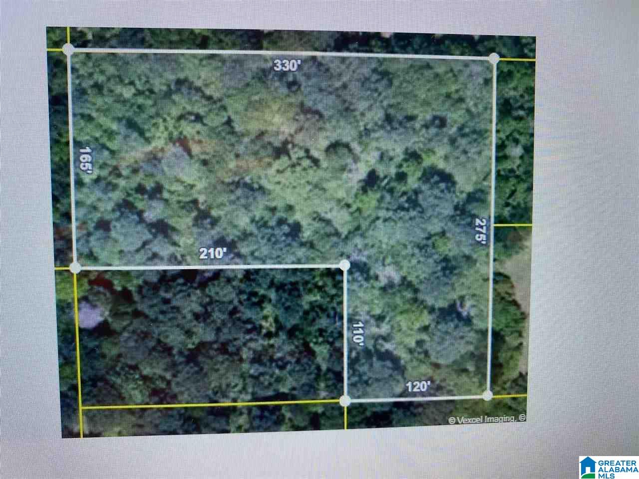 0 Doliska Road Quinton, AL 35130 - Photo 2 of 2