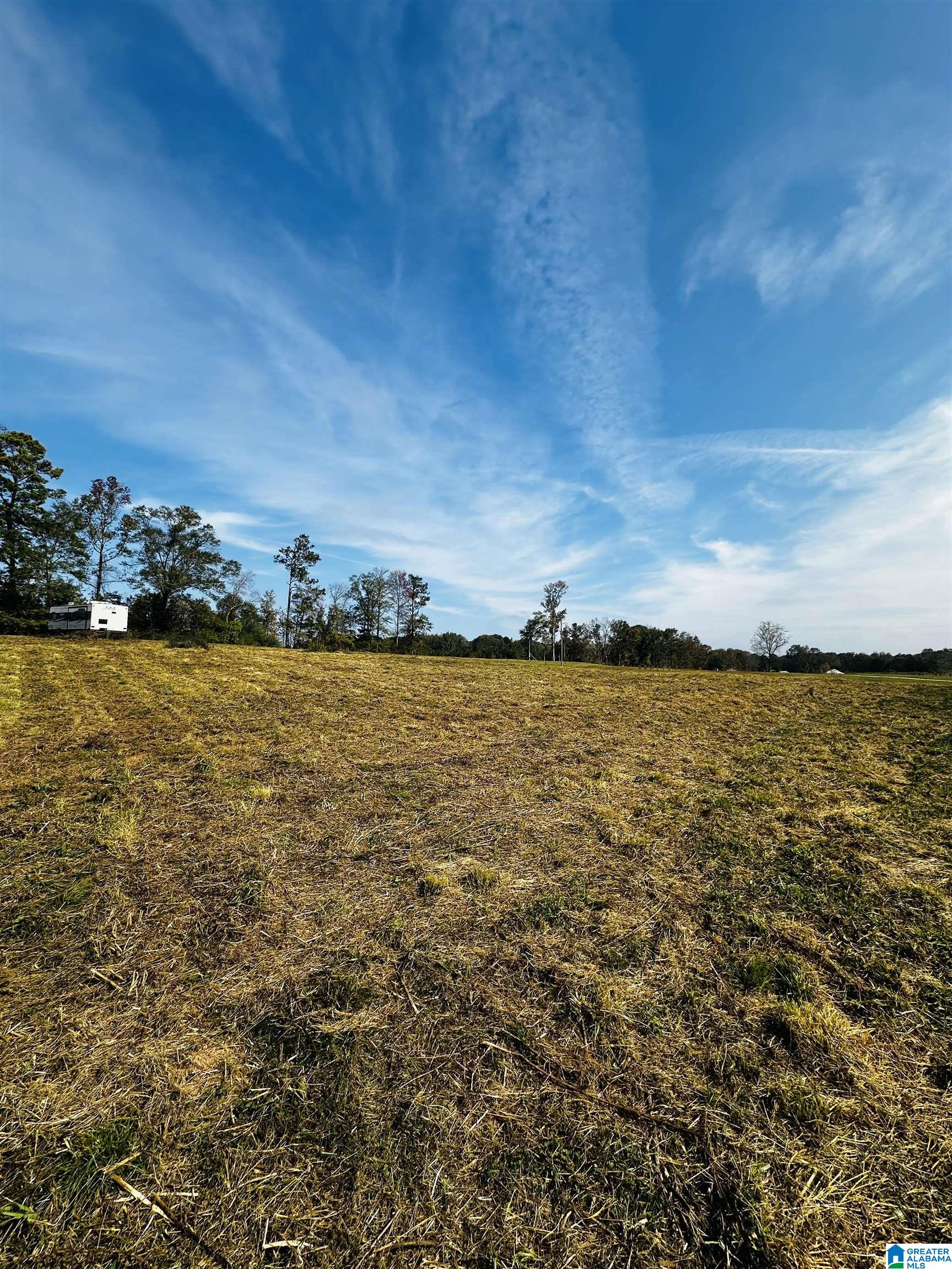 1721 McVey Road Lineville, AL 36266 - Photo 11 of 12