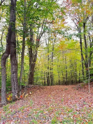 $85,000 | Tbd Alpine Drive, Bovina Center, NY 13740