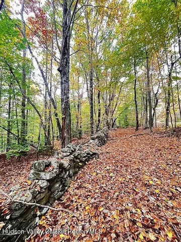 $85,000 | Tbd Alpine Drive, Bovina Center, NY 13740