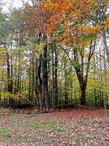 $85,000 | Tbd Alpine Drive, Bovina Center, NY 13740