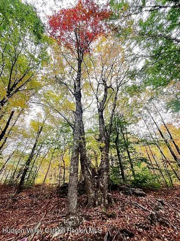 $85,000 | Tbd Alpine Drive, Bovina Center, NY 13740