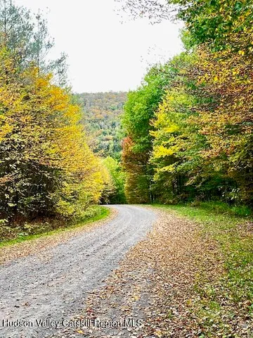 $85,000 | Tbd Alpine Drive, Bovina Center, NY 13740