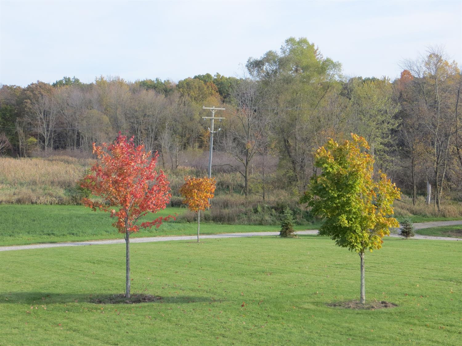 12911 Case Road Clinton, MI 49236 - Photo 9 of 28 Photo 9