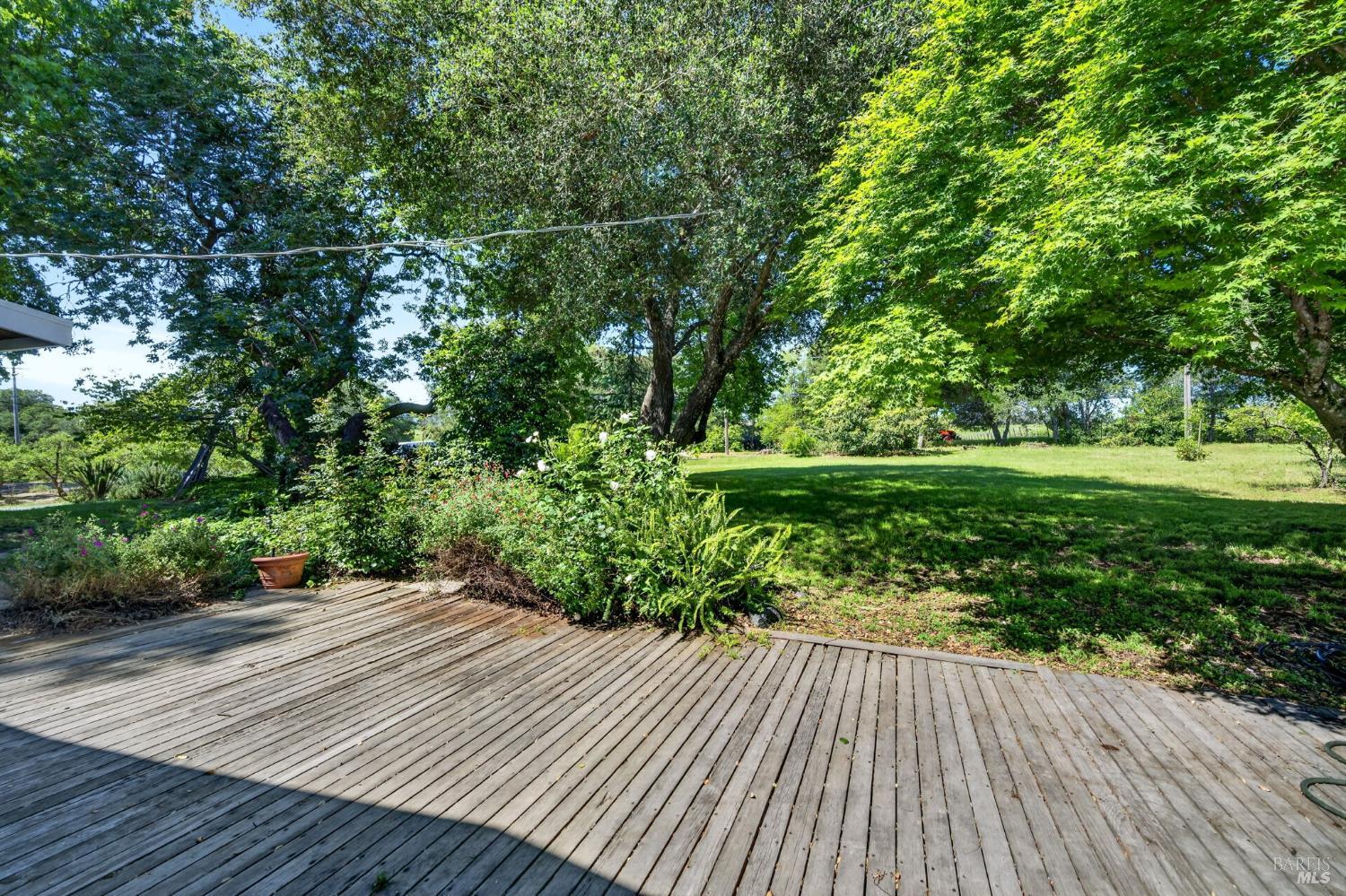 2062 Laguna Road Santa Rosa, CA 95401 - Photo 44 of 80 a view of backyard with green space