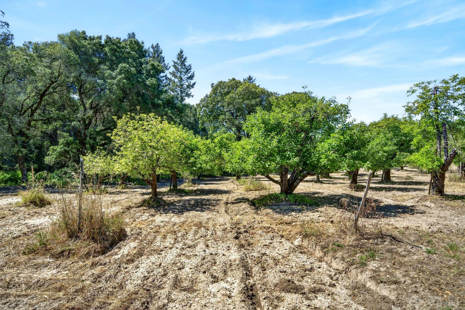 2062 Laguna Road Santa Rosa, CA 95401 - Photo 78 of 80 a backyard of a house with lots of green space