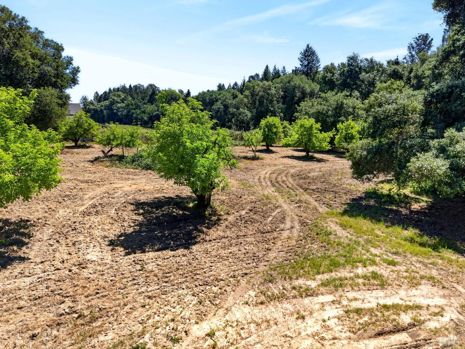2062 Laguna Road Santa Rosa, CA 95401 - Photo 79 of 80 a view of a backyard of a house