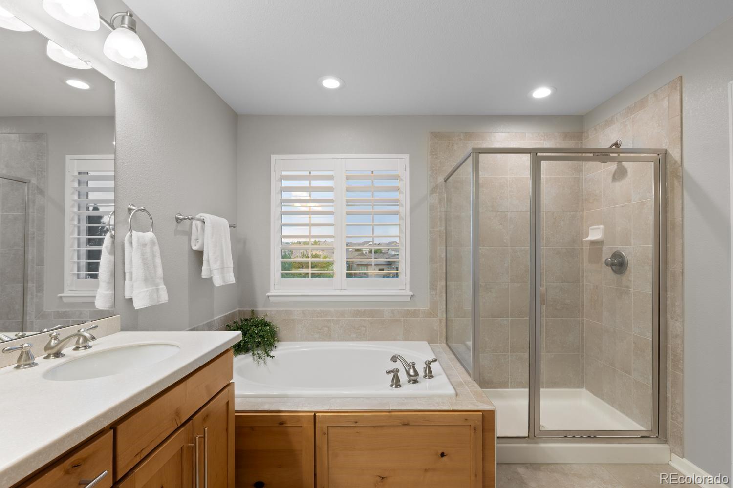 592 Meadowleaf Lane Highlands Ranch, CO 80126 - Photo 22 of 47 Gallery Image 22