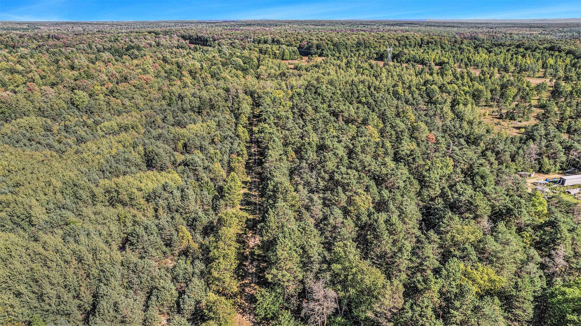 0 Viaduct Road Copemish, MI 49625 - Photo 10 of 19