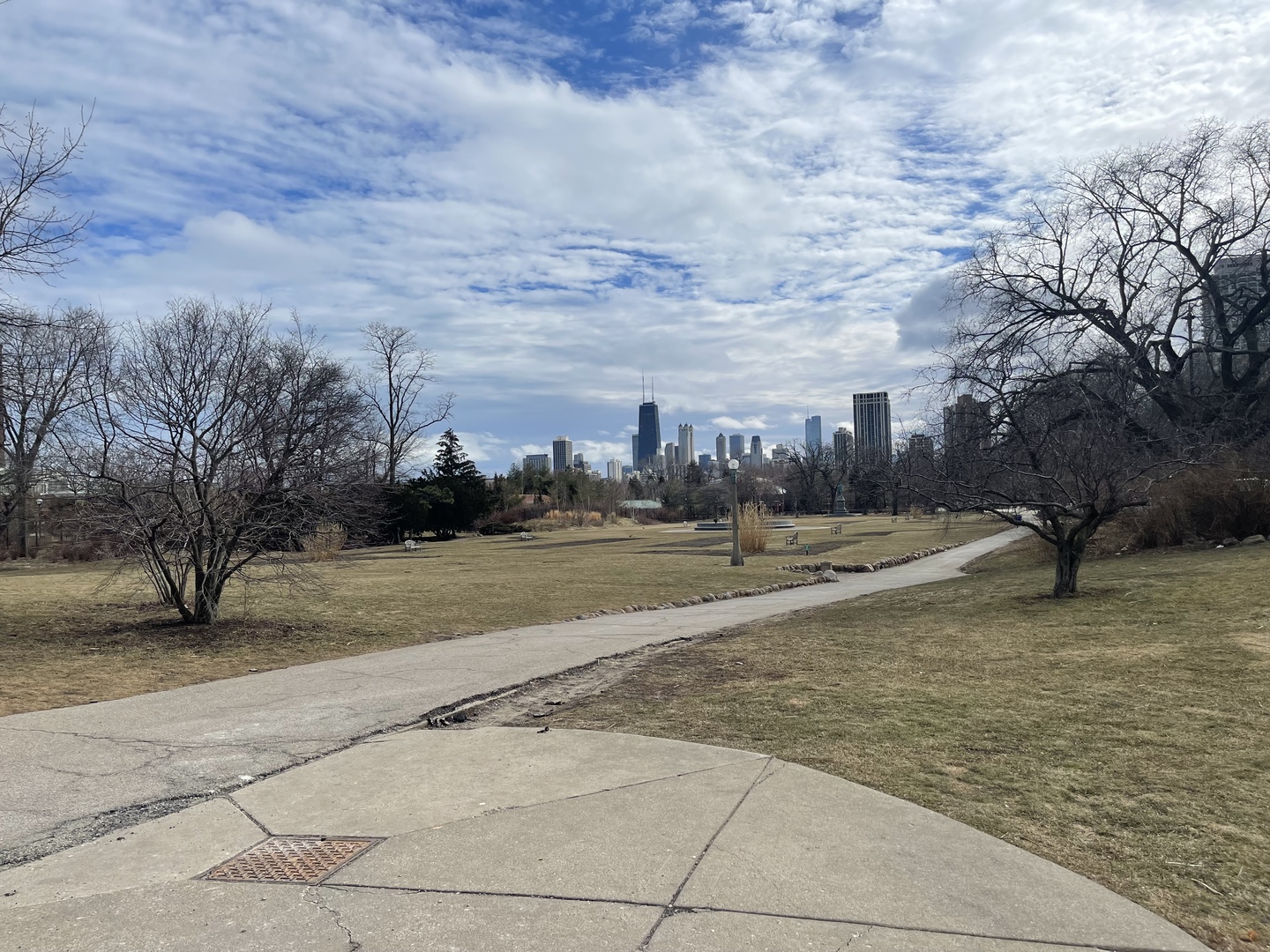 2248 North Racine Avenue, Unit 1 Chicago, IL 60614 - Photo 25 of 27 a view of yard with swimming pool and trees
