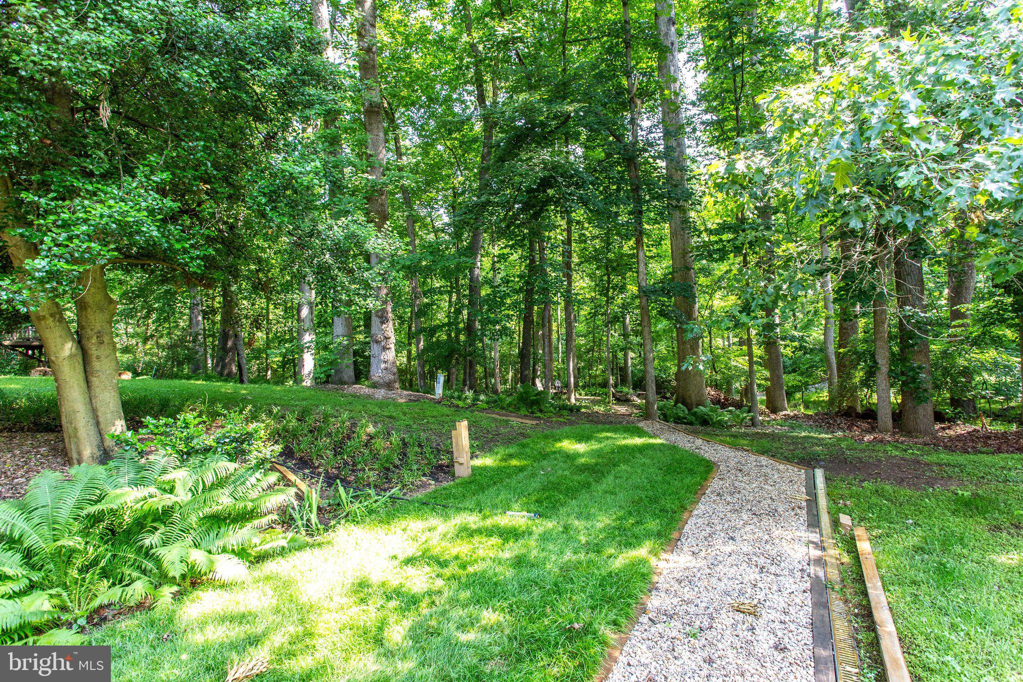 1805 Batten Hollow Road Vienna, VA 22182 - Photo 67 of 81