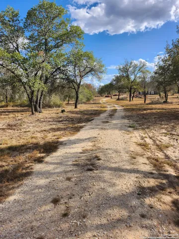 a view of road with trees