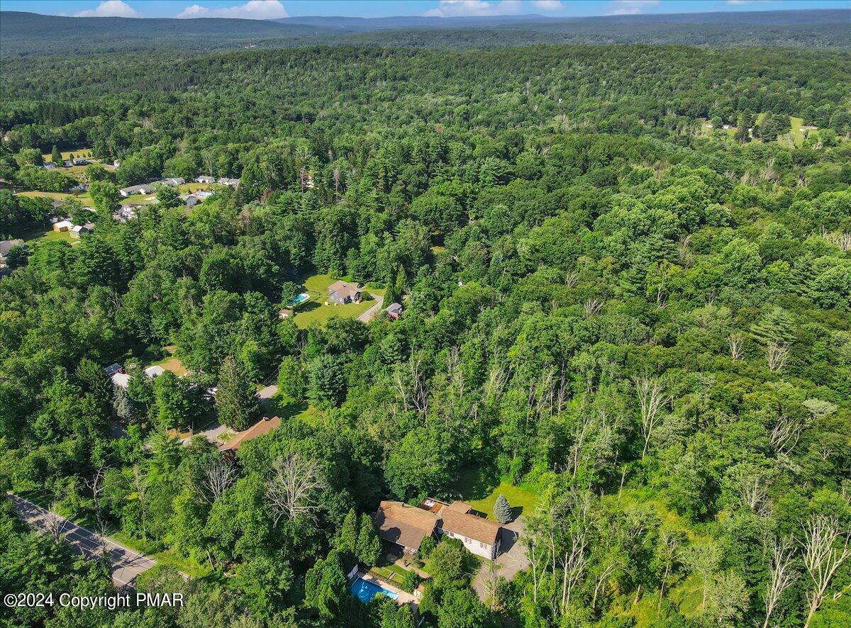 188 Olde Schoolhouse Road Cresco, PA 18326 - Photo 16 of 62 a view of a lush green forest with lots of trees