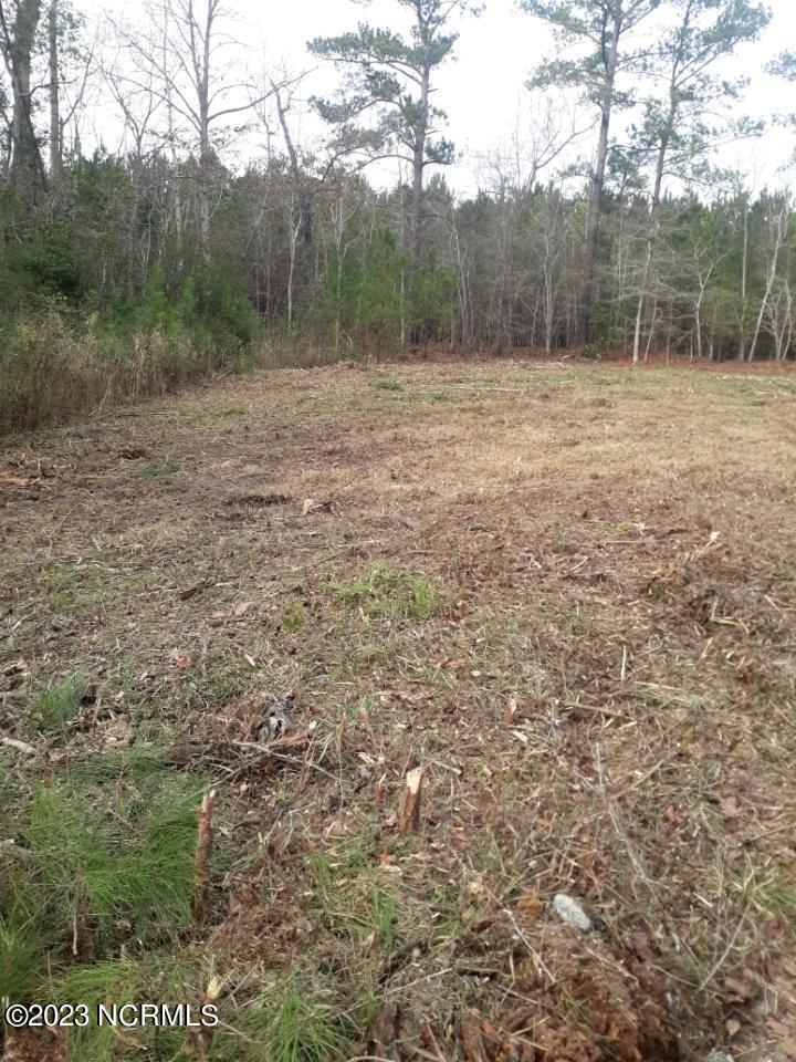 246 Charlie Road Arapahoe, NC 28510 - Photo 4 of 9 Attachment 2