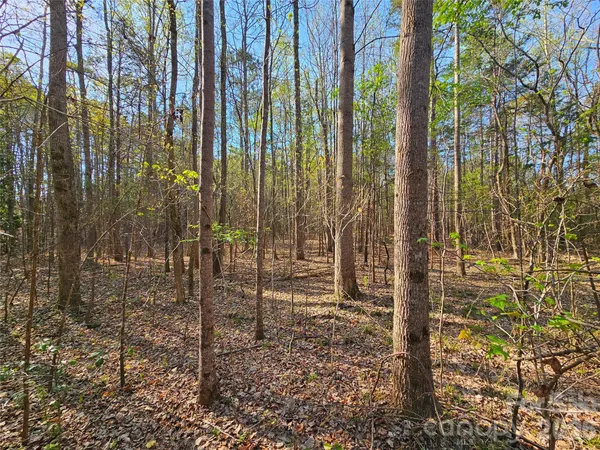 $245,000 | Lot 10 Elliott Road, Richburg, SC 29729