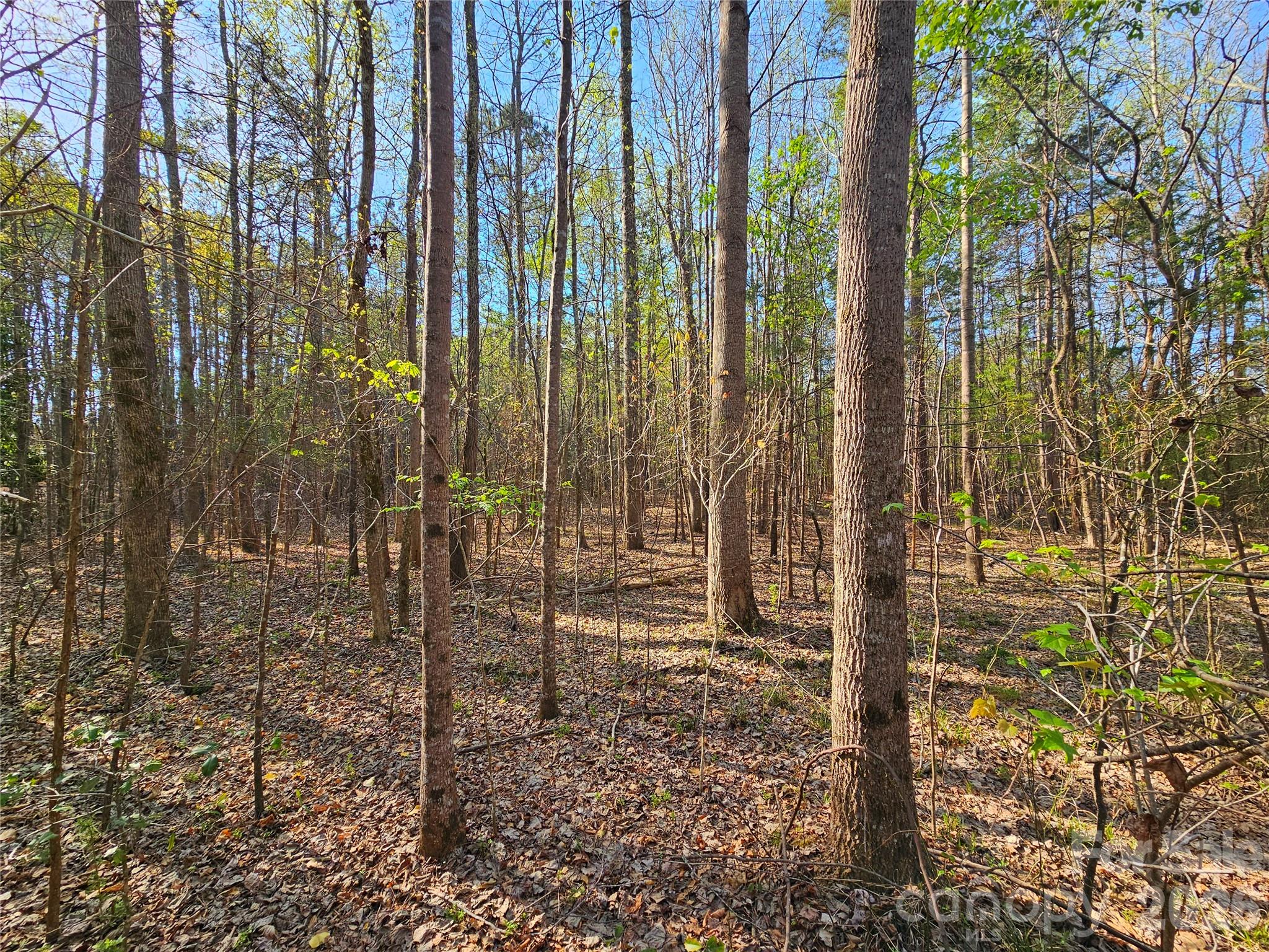 Lot 10 Elliott Road Richburg, SC 29729 - Photo 1 of 6