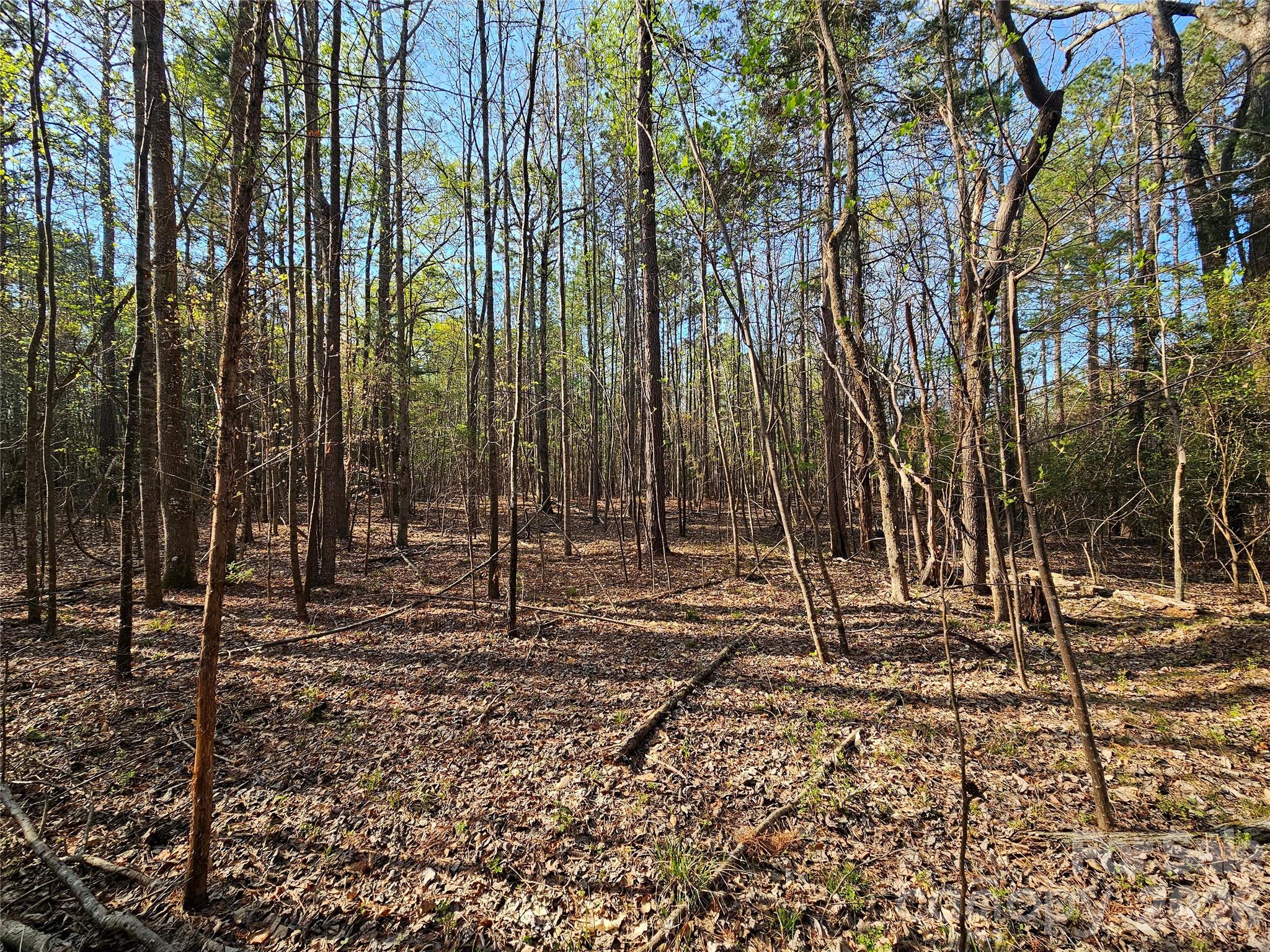 Lot 10 Elliott Road Richburg, SC 29729 - Photo 2 of 6