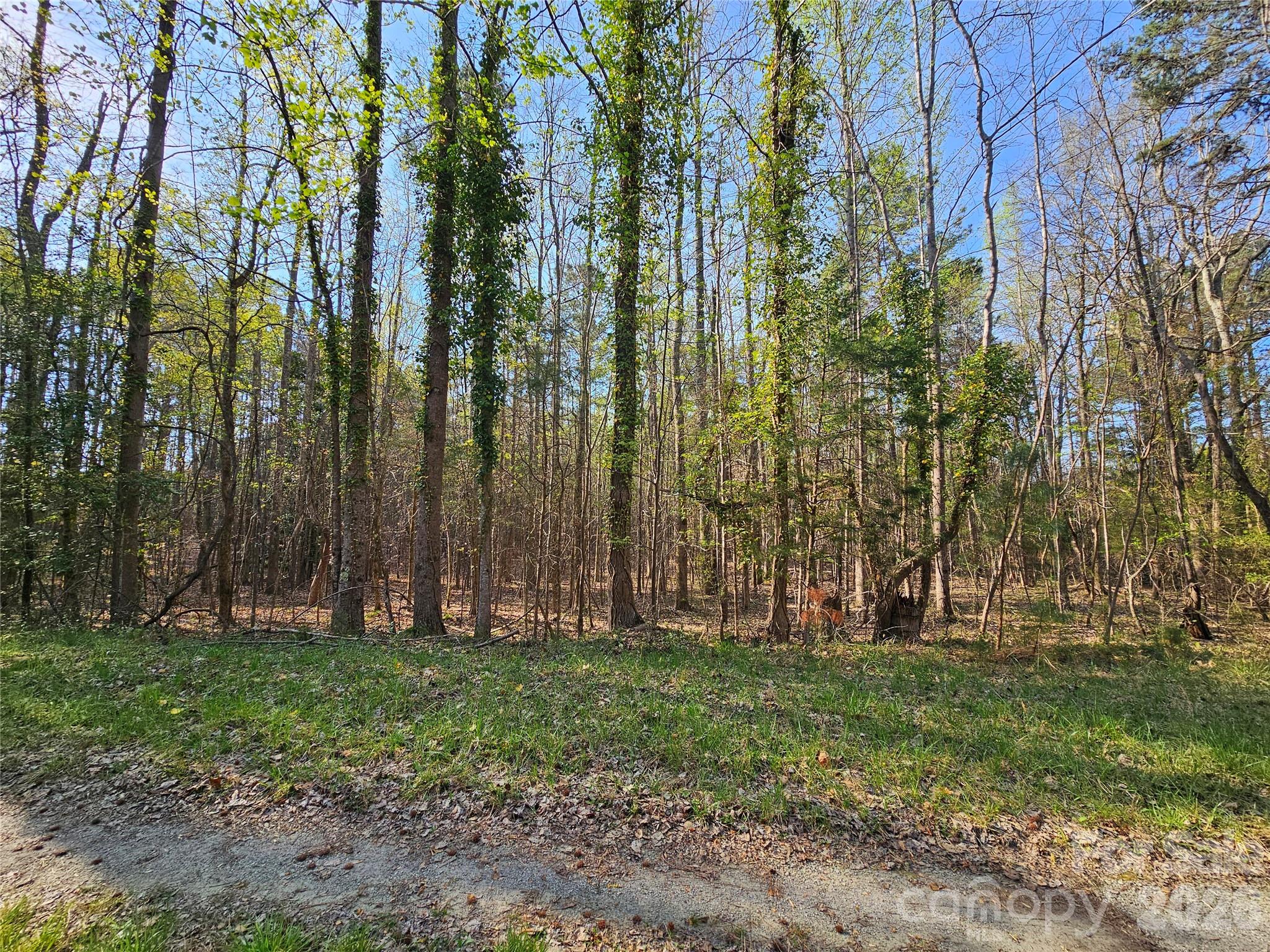 Lot 10 Elliott Road Richburg, SC 29729 - Photo 3 of 6