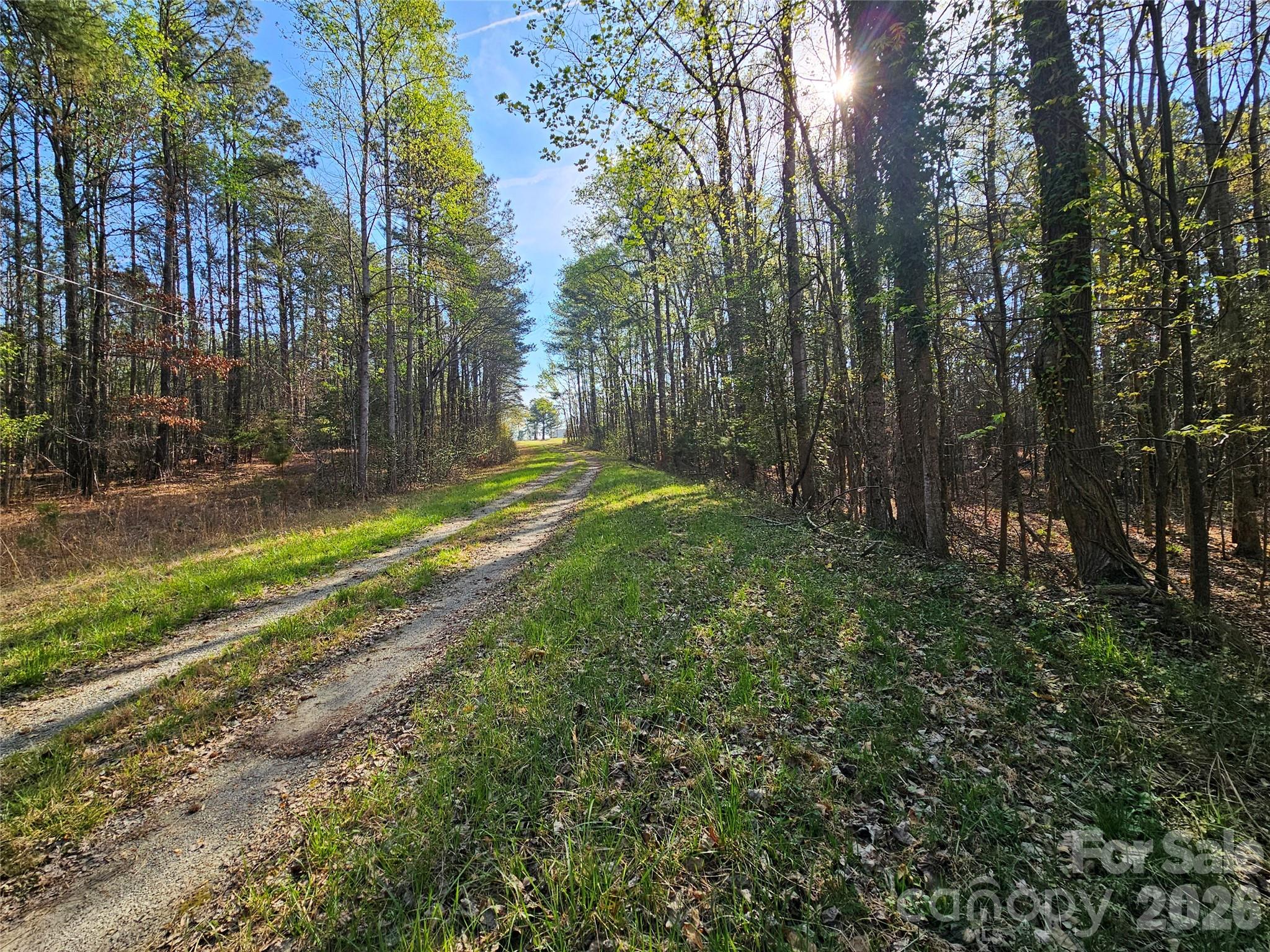 Lot 10 Elliott Road Richburg, SC 29729 - Photo 4 of 6