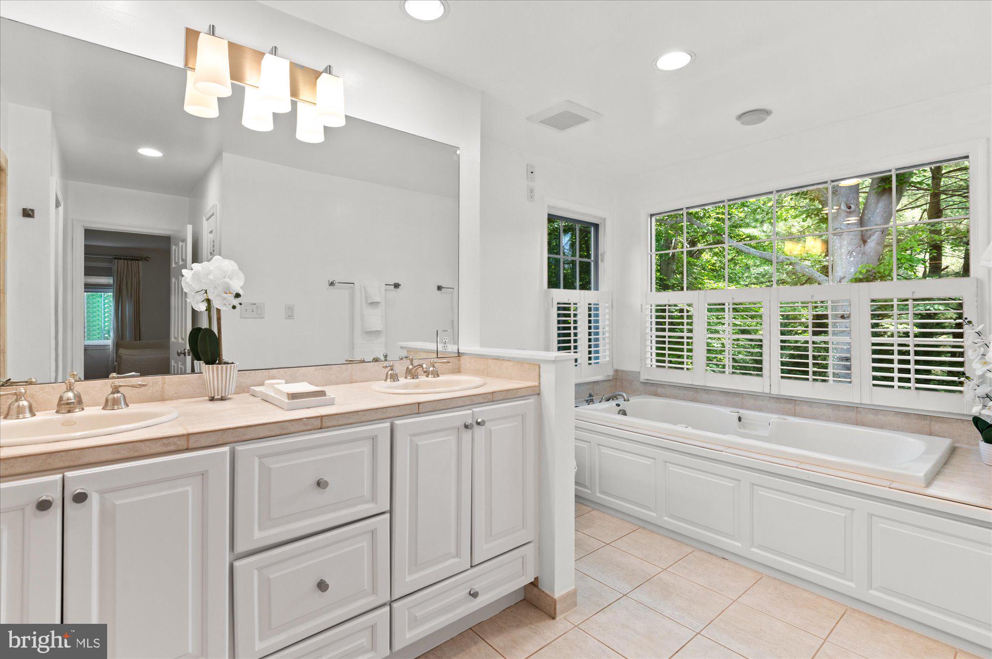 7301 River Falls Drive Potomac, MD 20854 - Photo 27 of 48 Soaking tub with wooded views