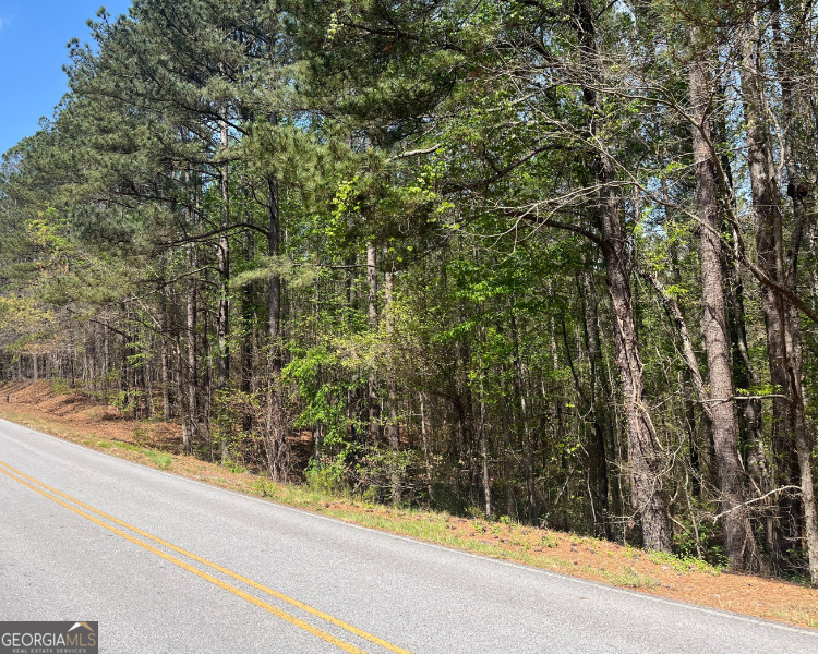 1961 North Hicks Road Toccoa, GA 30577 - Photo 8 of 10