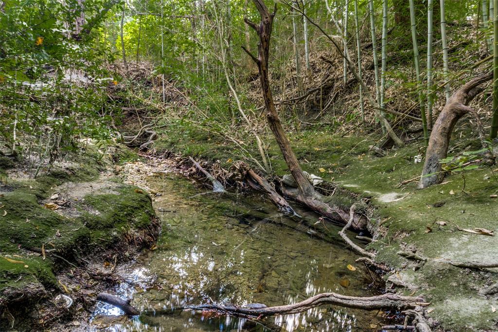 1226 East Campbell Road Garland, TX 75044 - Photo 11 of 14 a view of a yard