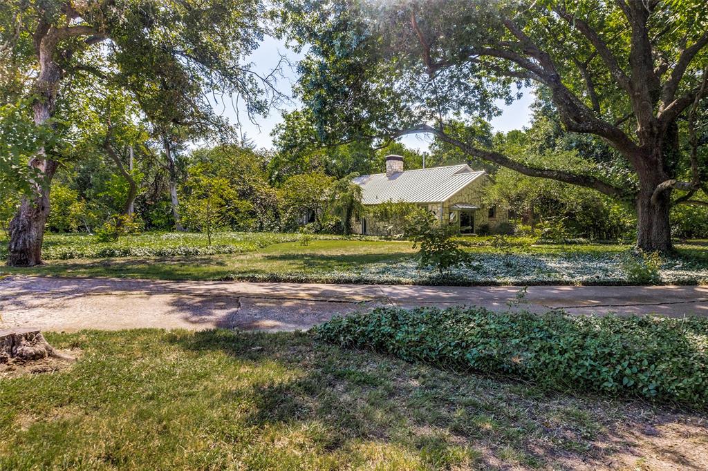 1226 East Campbell Road Garland, TX 75044 - Photo 13 of 14 a view of a yard with plants and a tree