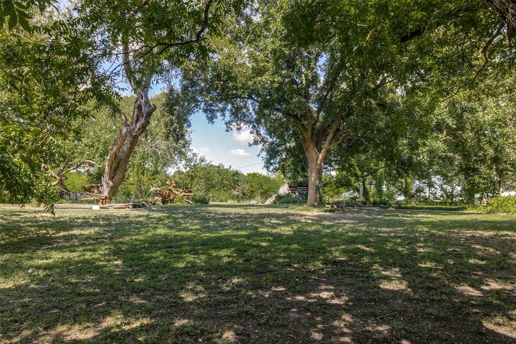 1226 East Campbell Road Garland, TX 75044 - Photo 5 of 14 a big yard with lots of green space and trees all around