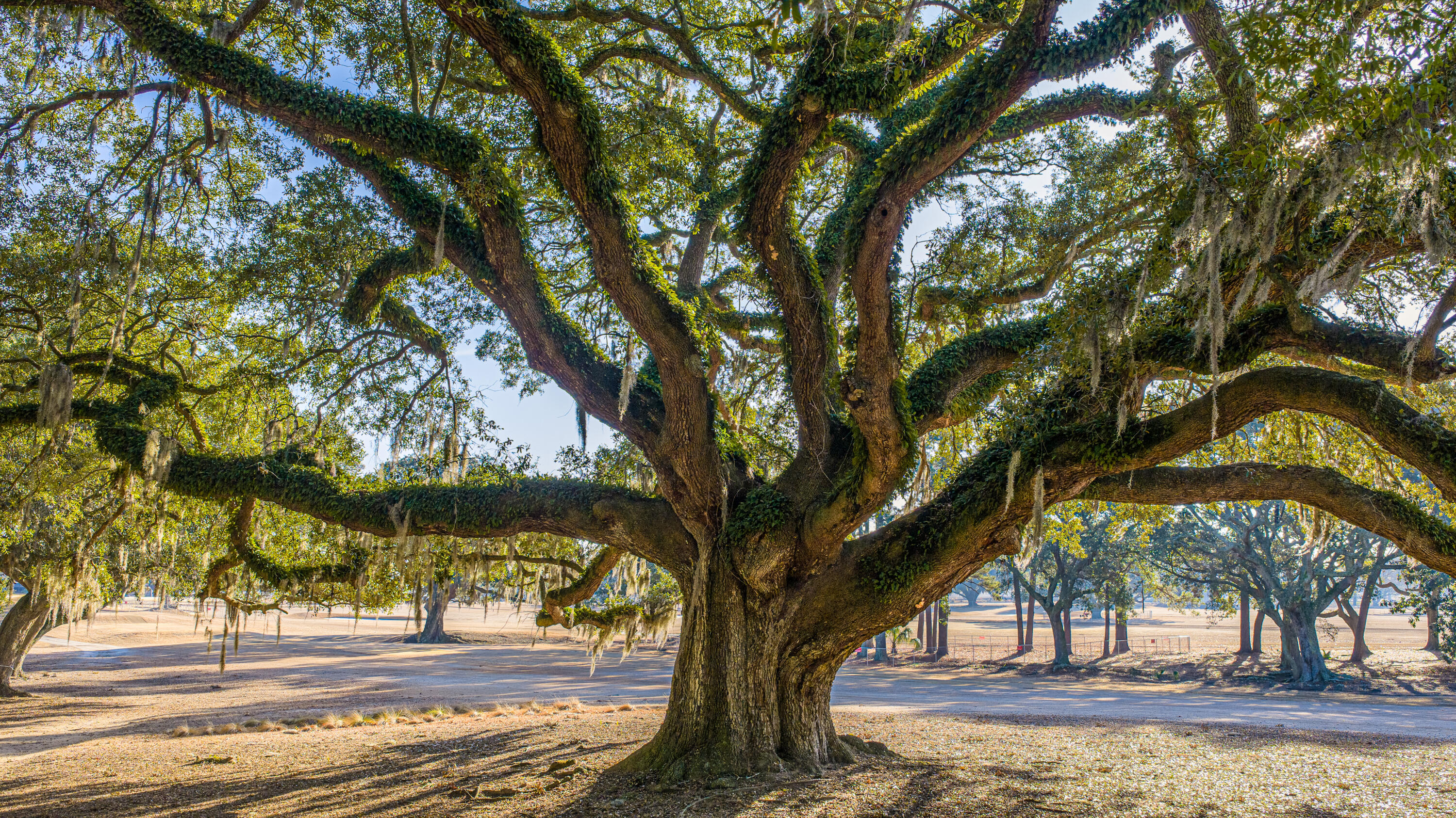 235 Country Club Lane Charleston, SC 29412 - Photo 62 of 71 68