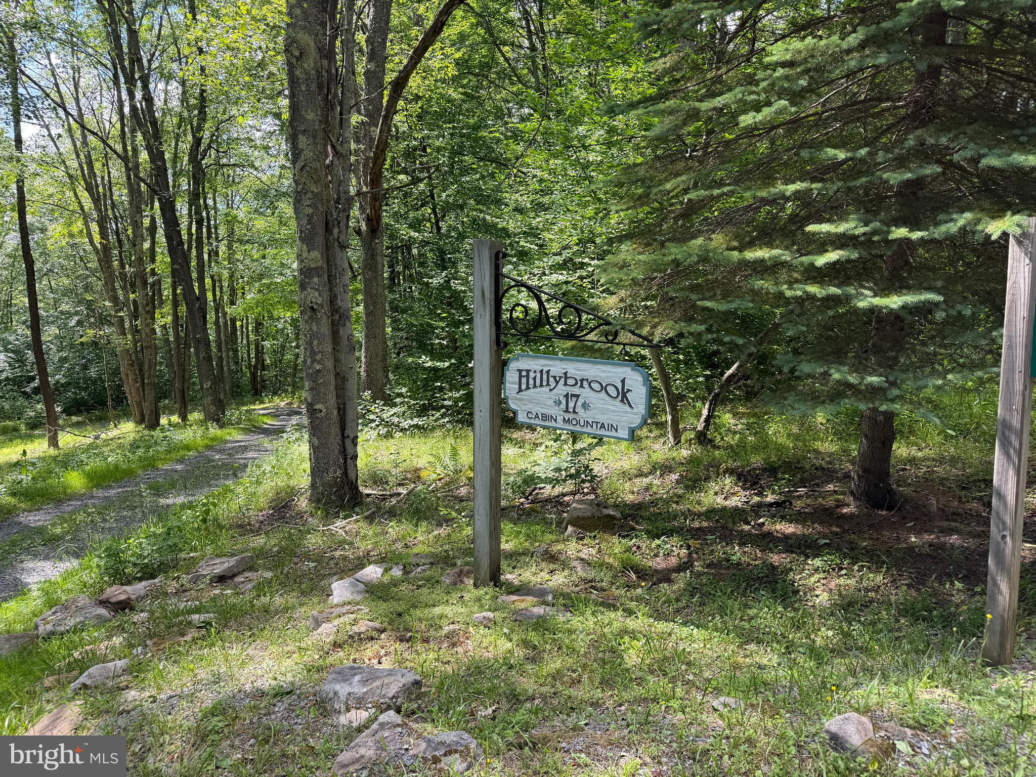 1077 Sand Run Road Davis, WV 26260 - Photo 18 of 69