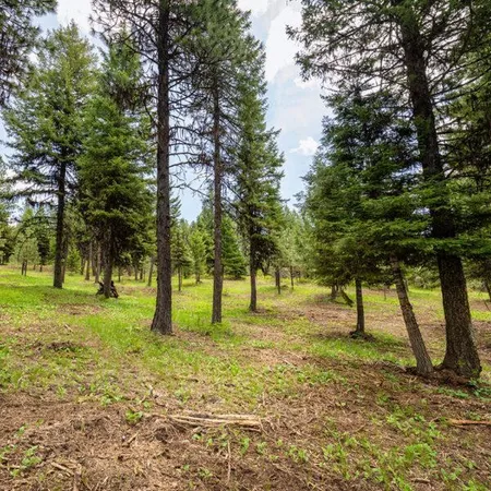 $500,000 | Lot 9 To Be Determined, Unit 9, McCall, ID 83638