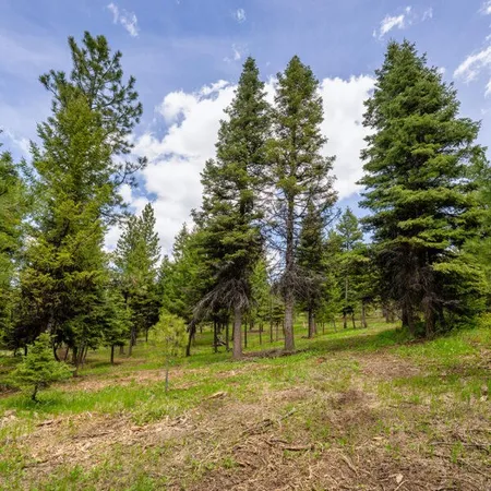 $500,000 | Lot 9 To Be Determined, Unit 9, McCall, ID 83638