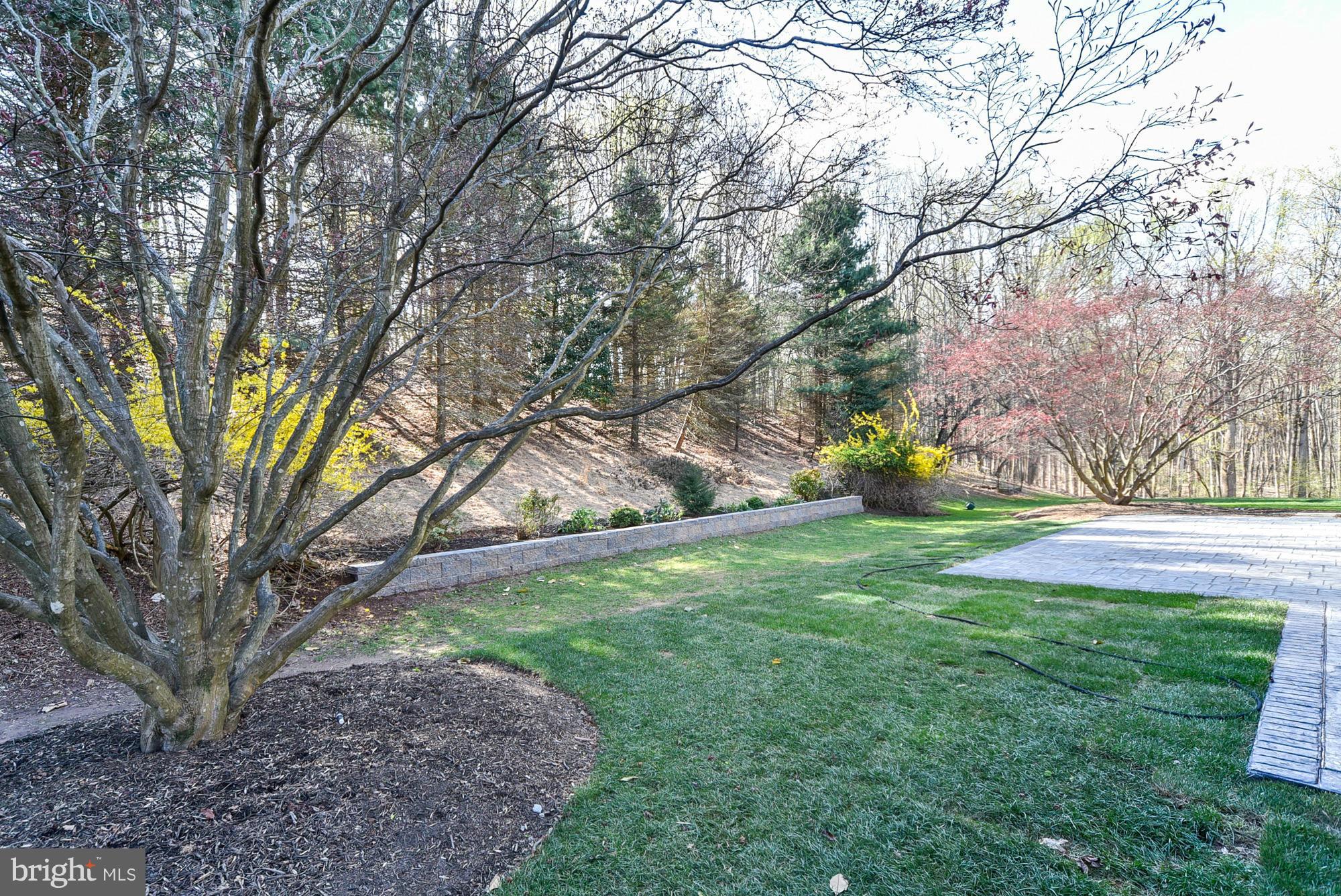 8809 Belmart Road Potomac, MD 20854 - Photo 29 of 30 Exterior (Rear)