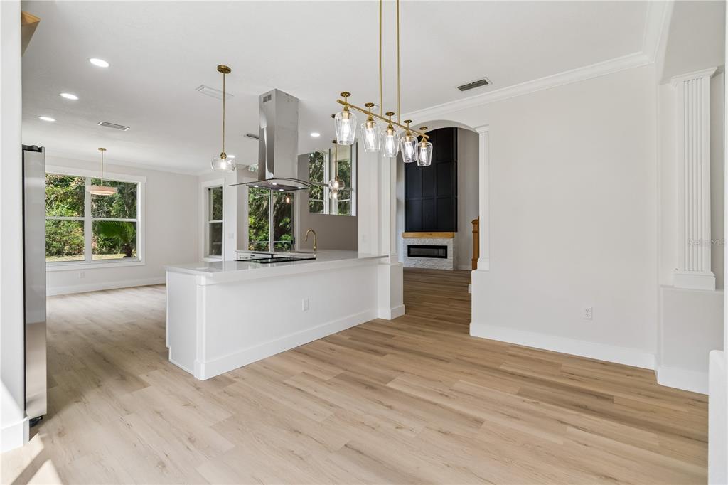 16936 Falconridge Road Lithia, FL 33547 - Photo 11 of 87