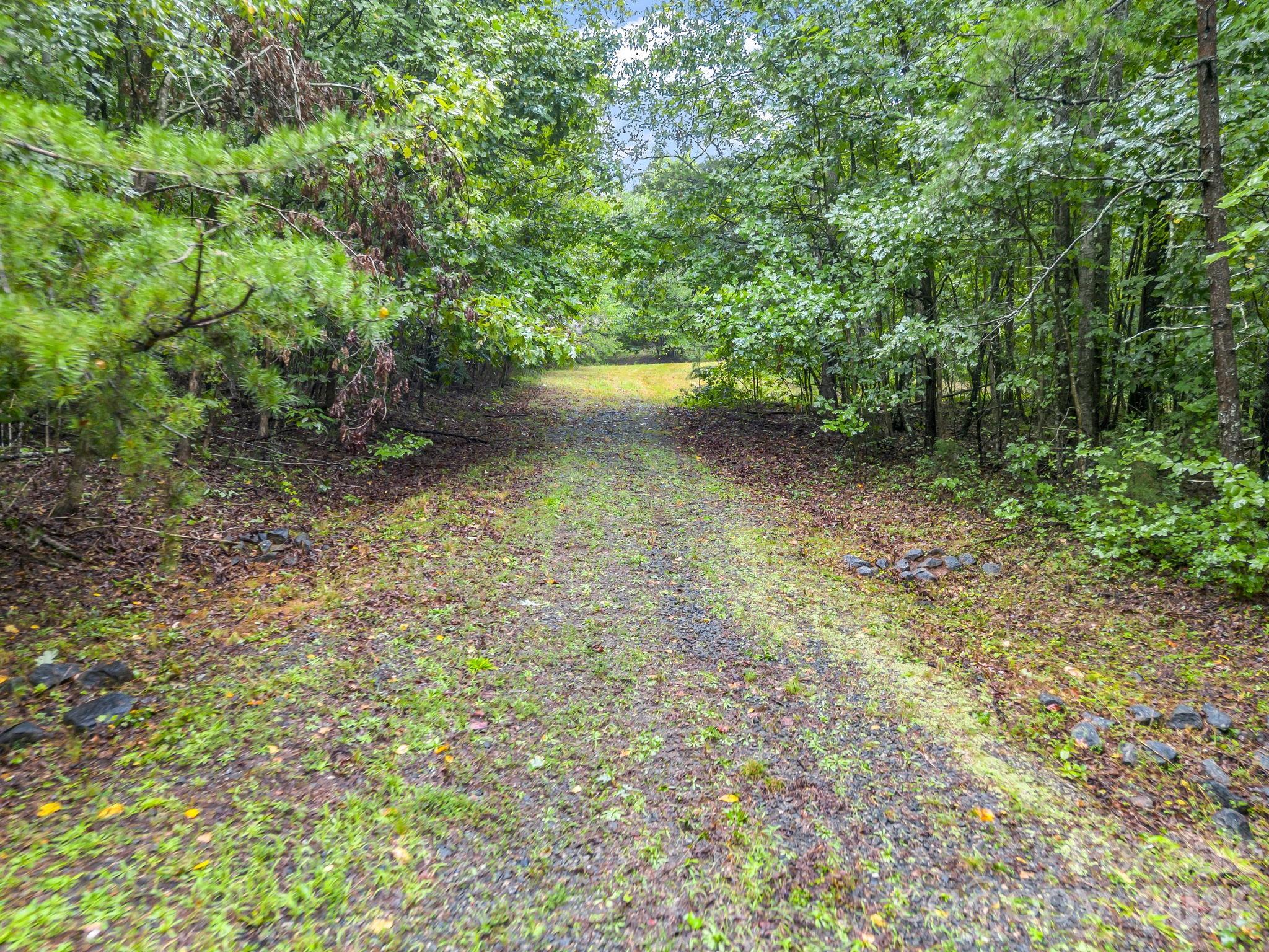 0 Observation Ridge Rutherfordton, NC 28139 - Photo 24 of 25 Gallery Image 24