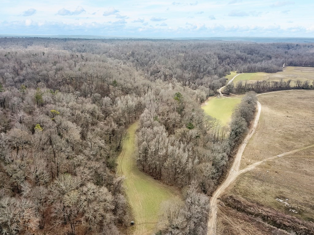 1001 Travelers Rest Lorman, MS 39096 - Photo 11 of 47 Photo 11