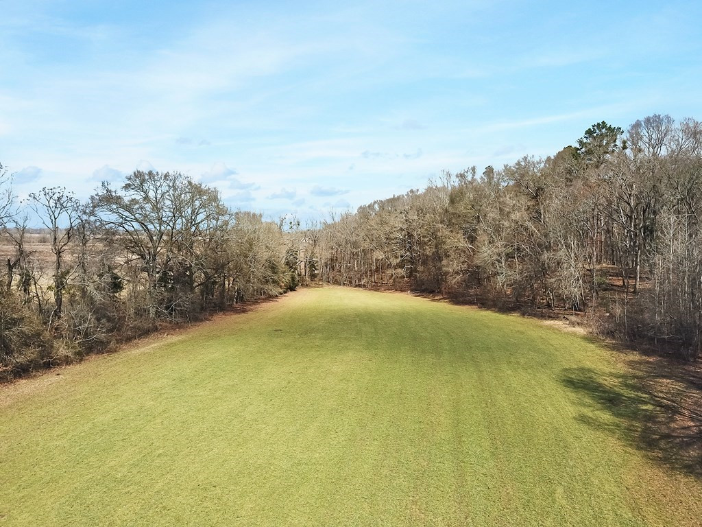 1001 Travelers Rest Lorman, MS 39096 - Photo 13 of 47 Photo 13