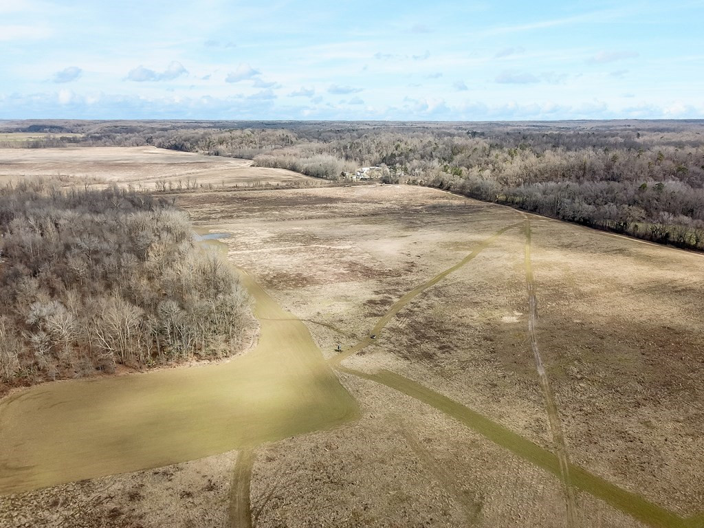 1001 Travelers Rest Lorman, MS 39096 - Photo 18 of 47 Photo 18