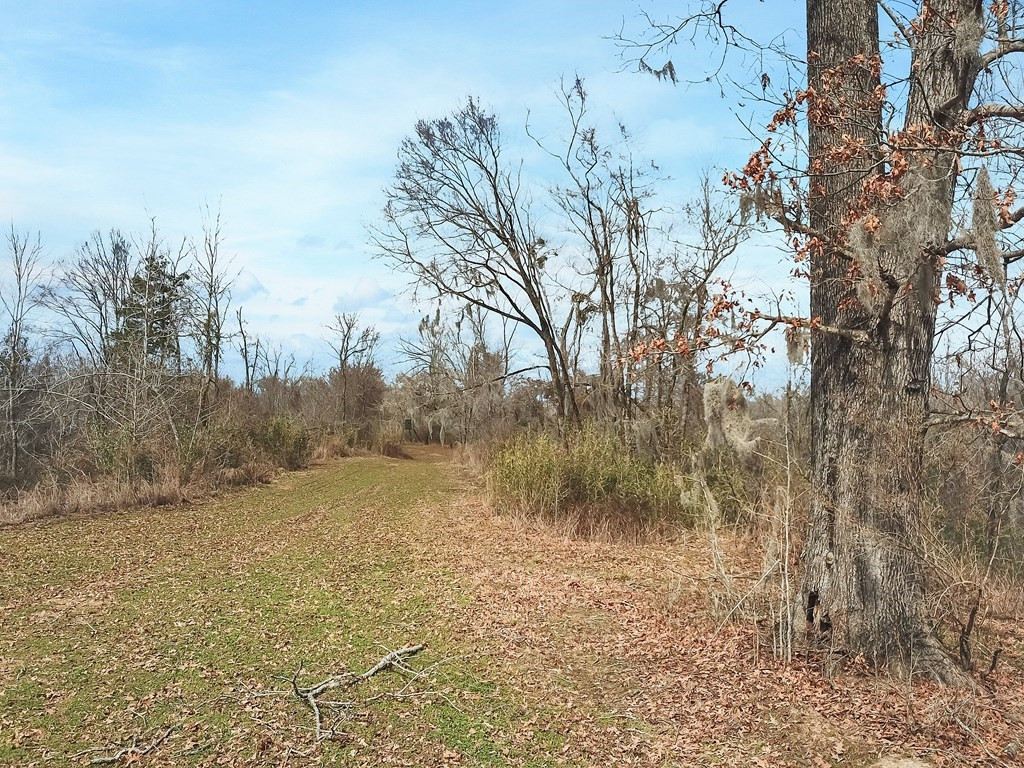 1001 Travelers Rest Lorman, MS 39096 - Photo 21 of 47 Photo 21