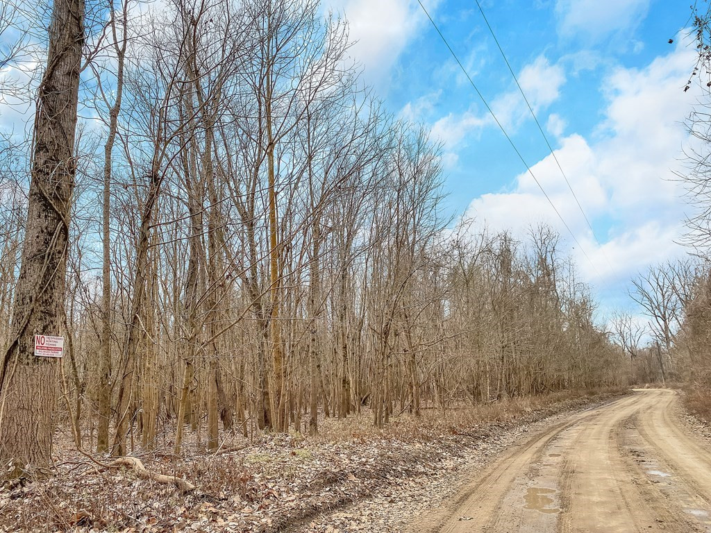 1001 Travelers Rest Lorman, MS 39096 - Photo 23 of 47 Photo 23