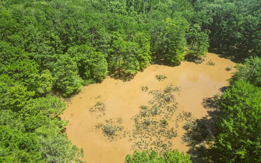 1001 Travelers Rest Lorman, MS 39096 - Photo 29 of 47 Photo 29
