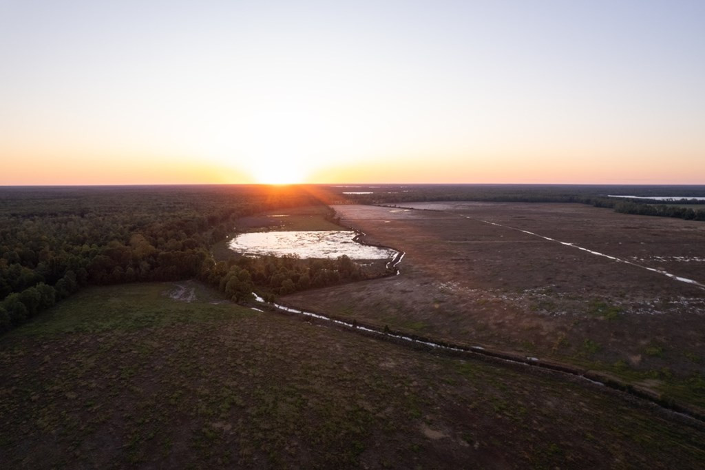1001 Travelers Rest Lorman, MS 39096 - Photo 35 of 47 Photo 35